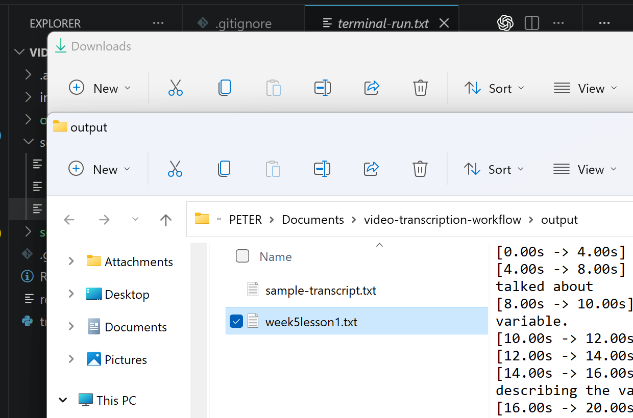 Video Transcription save automatically screenshot.